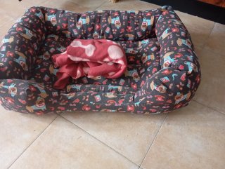 Cama para perro