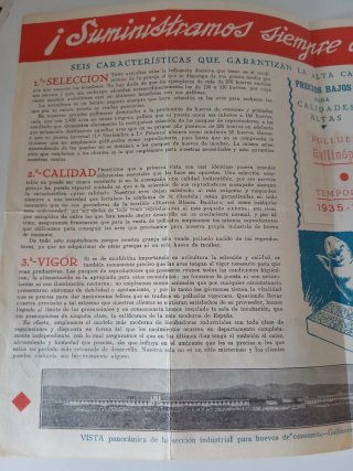 Antiguo Folleto de publicidad:Gallinopolis.Madrid