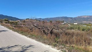 Terreno en venta en Moratalla