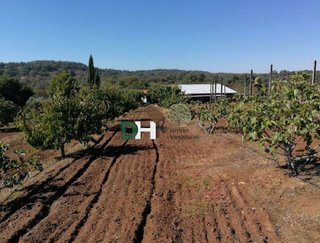 Terreno en venta en Ciudad Monumental en Cáceres
