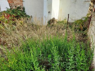 Terreno en venta en Casco Antiguo en Algeciras