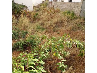 Terreno en venta en Casco Antiguo en Algeciras
