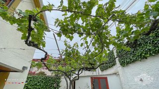 Chalet en venta en Roca Grossa - Serra Brava en Lloret de Mar
