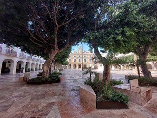 Local comercial en alquiler en Centro en Almería