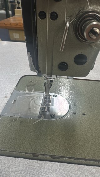 Máquina de coser Daewoo plana industrial