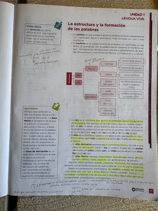 Beatriz Bernal Bachillerato. Lengua castellana