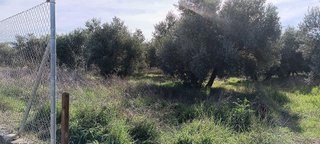Terreno en venta en Otura