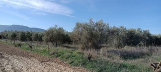 Terreno en venta en Otura
