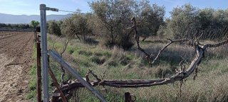Terreno en venta en Otura