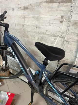 Bicicleta electrica ecobike
