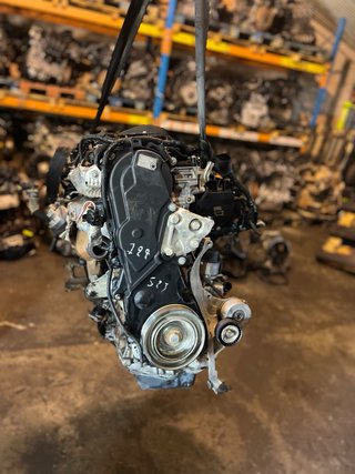 Motor Peugeot 2.0 RH02