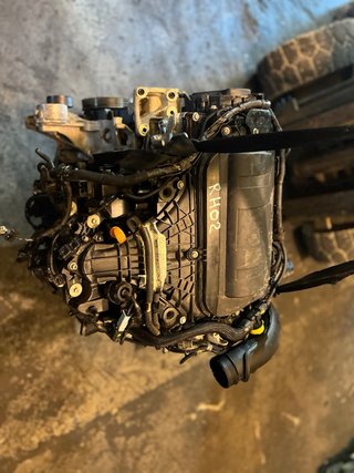 Motor Peugeot 2.0 RH02