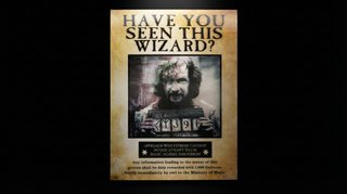 Póster Harry Potter Lenticular