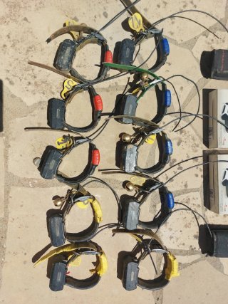GPS TINY LOC Collares Perros, collares gps