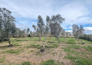 Terreno en venta en Tudela