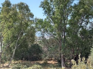 Terreno en venta en Mijas Pueblo en Mijas