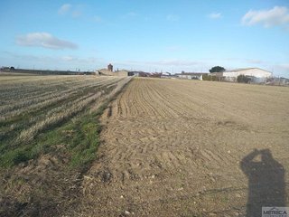 Terreno en venta en Campo de Peñaranda (El)