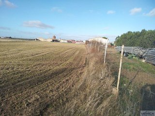Terreno en venta en Campo de Peñaranda (El)