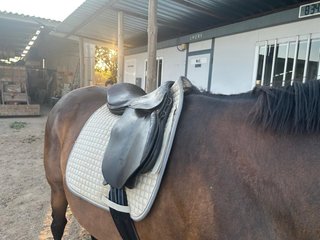 Silla de monta caballo