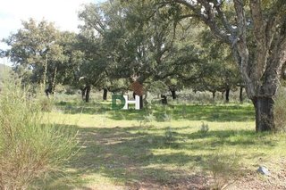 Chalet en venta en Pedanías de Cáceres en Cáceres