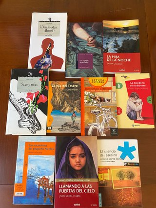 Lote libros juveniles