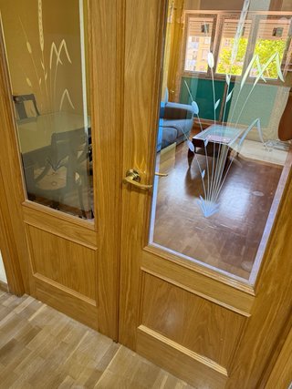 Puerta doble de salón con cristal