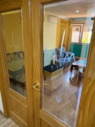 Puerta doble de salón con cristal