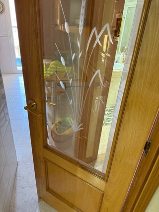 Puerta de madera con cristal esmerilado