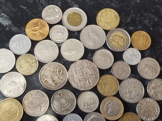 Colección monedas animales