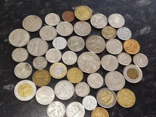 Colección monedas animales