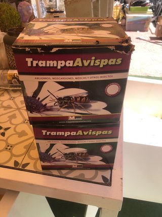 Trampas para avispas