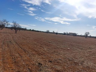 Solar en venta en Campos