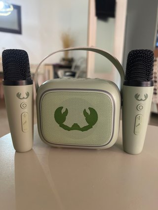 Karaoke con altavoz y 2 micrófonos.