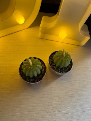 Candele decorative cactus