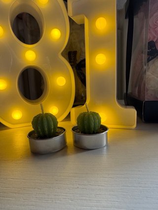 Candele decorative cactus
