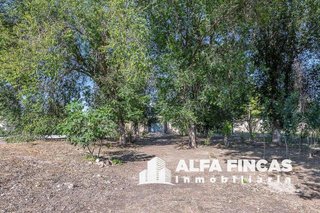 Terreno en venta en Santa María del Campo Rus