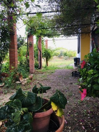 Casa rural en venta en Valladolises en Murcia