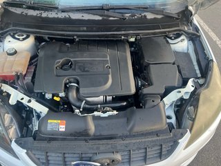 Ford Focus hirvonen