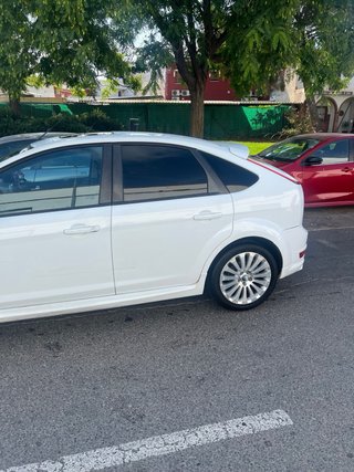 Ford Focus hirvonen
