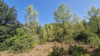 Solar en venta en Artà en Artà
