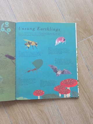 The Earth Book A World of Exploration and Wonder