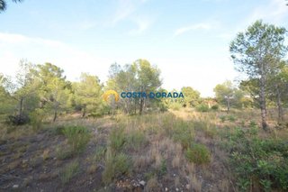 Terreno en venta en Casalot en Mont-Roig del Camp