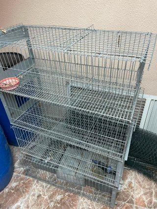 Jaula para conejos con comedero
