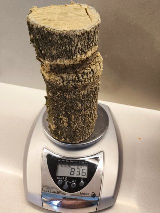 Madera de Boj de árbol de 150 años.