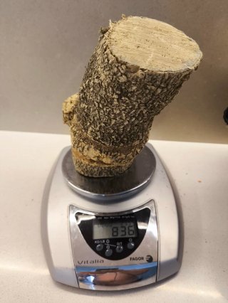 Madera de Boj de árbol de 150 años.
