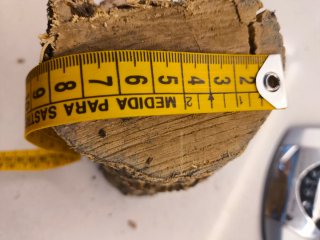 Madera de Boj de árbol de 150 años.
