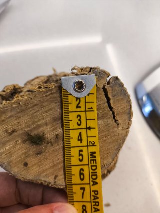 Madera de Boj de árbol de 150 años.