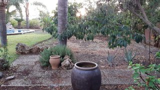 Terreno en venta en San Pedro de Alcántara pueblo en Marbella