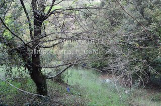 Solar en venta en Sant Celoni