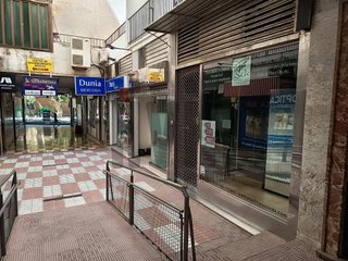 Local comercial en alquiler en Avda de Madrid - Pº de la Estación en Jaén